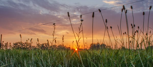 Catch the sunrise