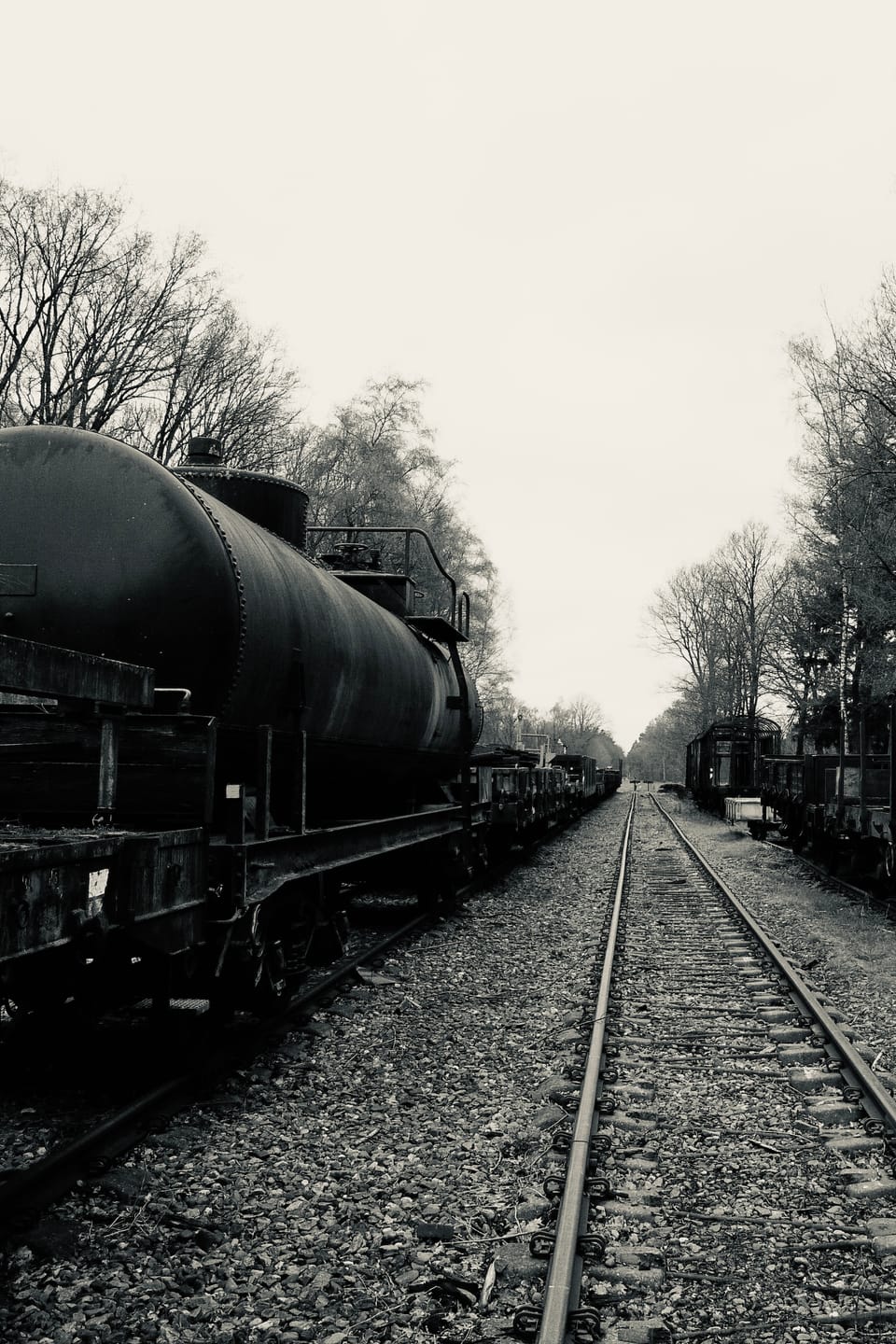Train spotting
